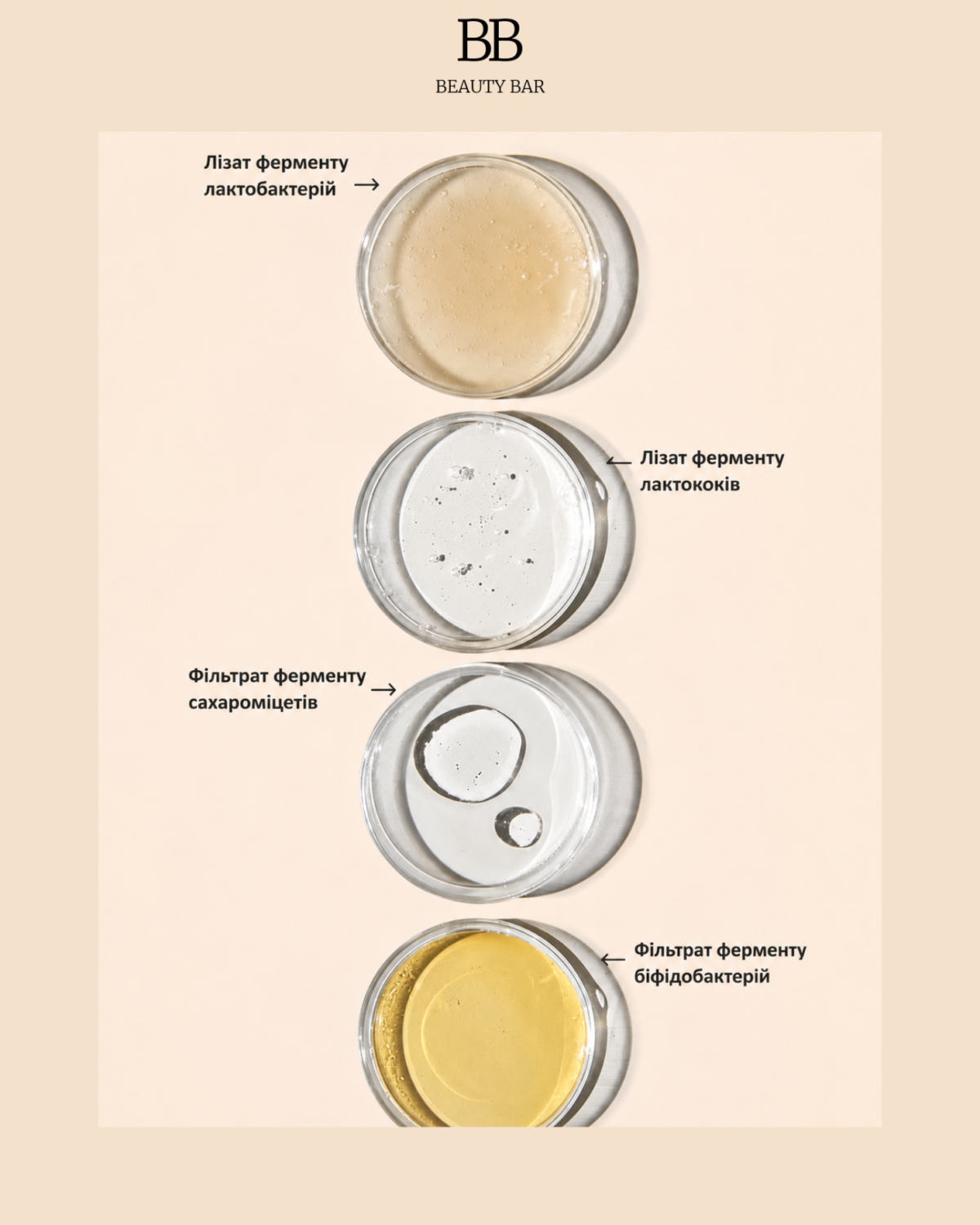 manyo-bifida-biome-complex-ampoule-info