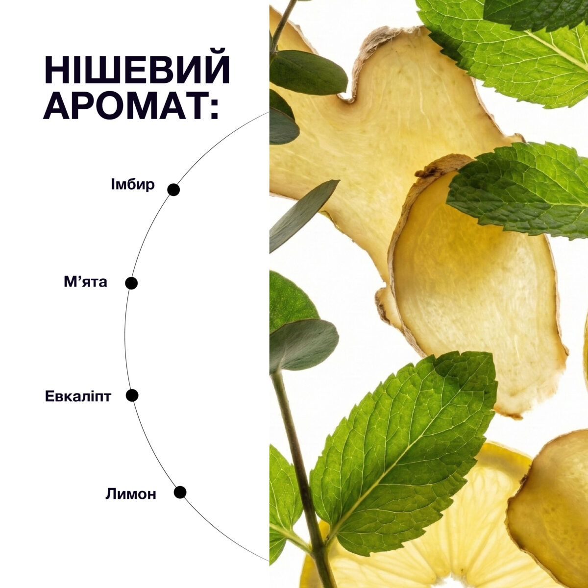 Кислотний скраб-пілінг для шкіри голови whocares Pumpkin Protein Scalp Scrub - Зображення 4