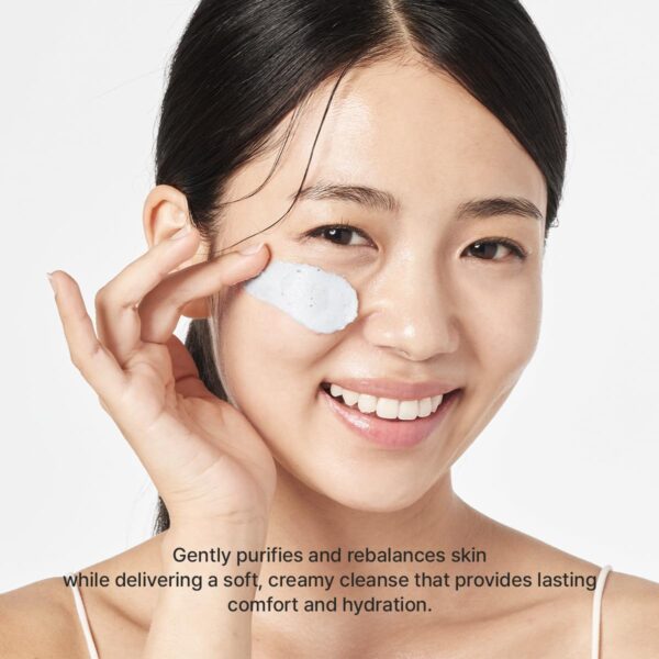 arencia-hyssop-sebum-control-rice-cake-cleanser-3-in-1-texture