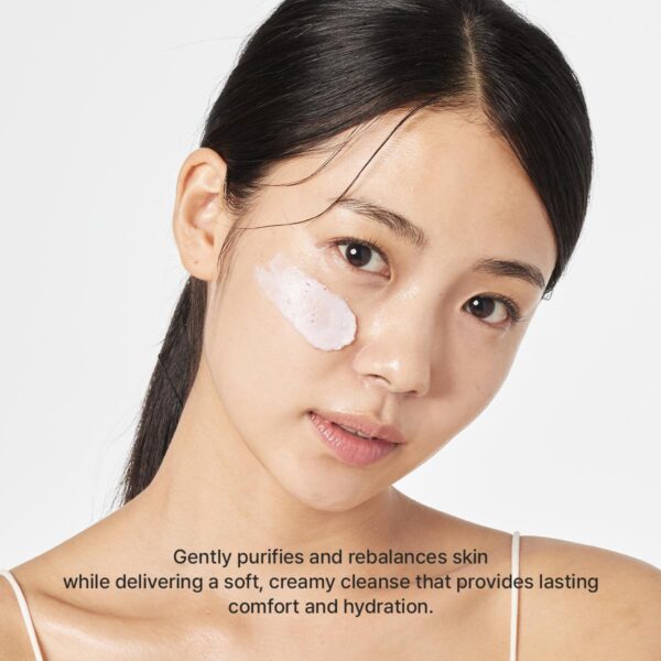 arencia-rosehip-mild-ph-balancing-rice-cake-cleanser-3-in-1-texture